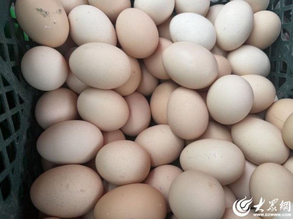 华信配资 众点关注 | 记者走访东营鸡蛋市场：鸡蛋降至一斤3元左右！创近5年来新低