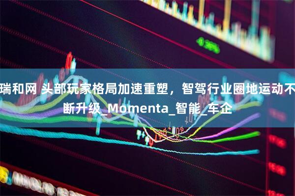 瑞和网 头部玩家格局加速重塑，智驾行业圈地运动不断升级_Momenta_智能_车企